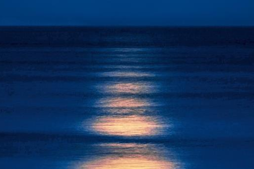 Gruppo di lettura di Bergamo - Incontro di Maggio 2026