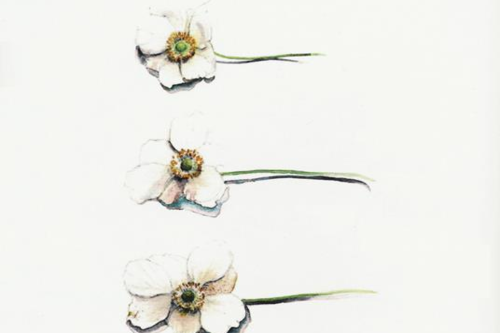 Gruppo di lettura di Bergamo - Incontro di Aprile 2026